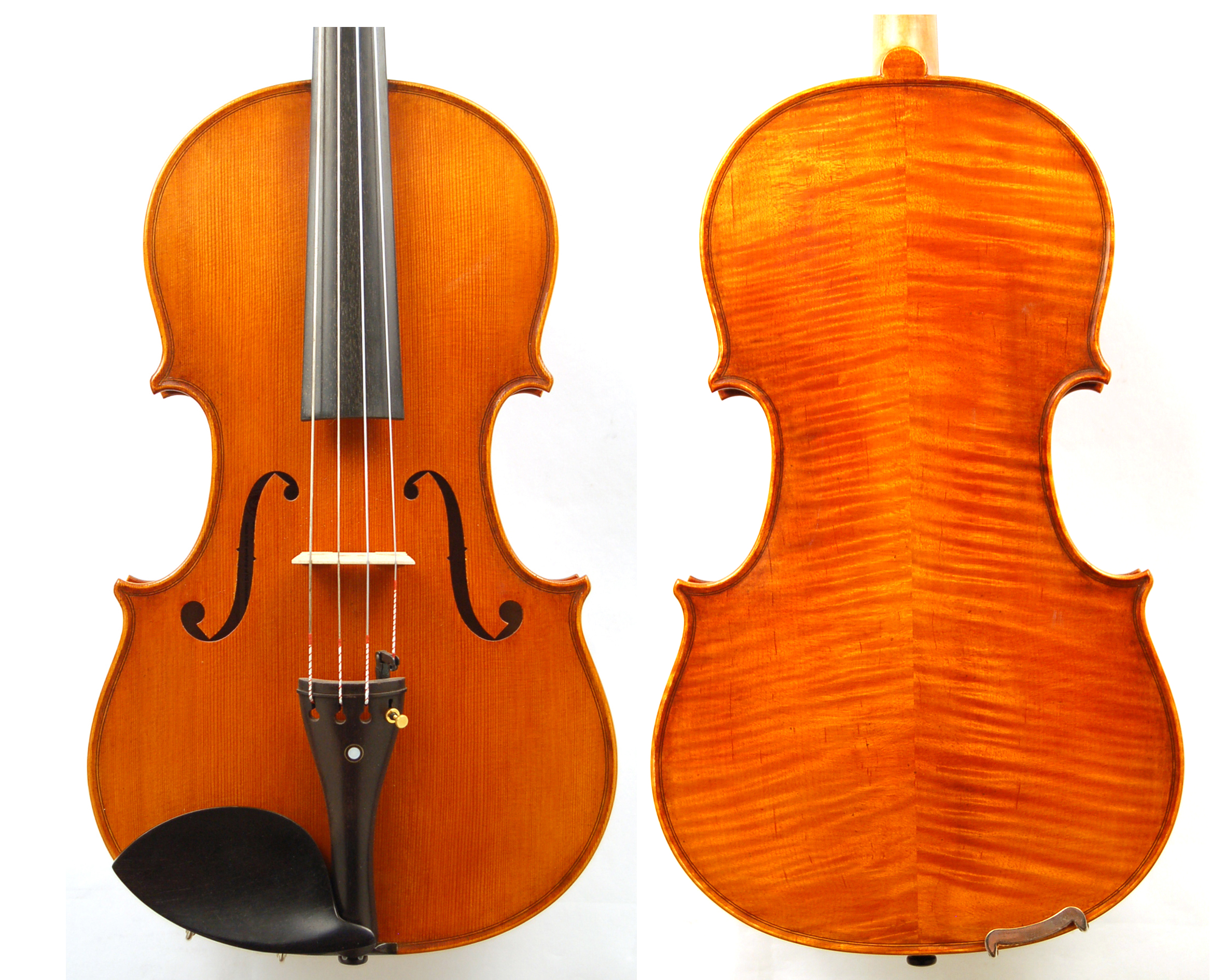 KG Viola 200 Vivement Strings Welcome to the World of Orchestral