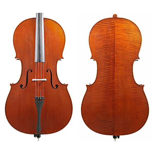 KG Cello #100