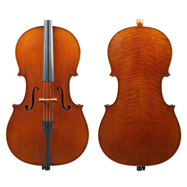 KG Cello #300