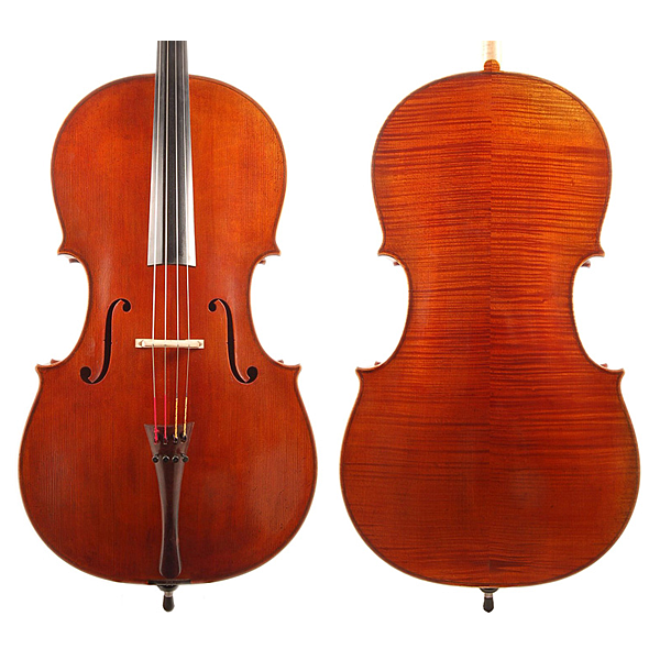 KG Cello #500