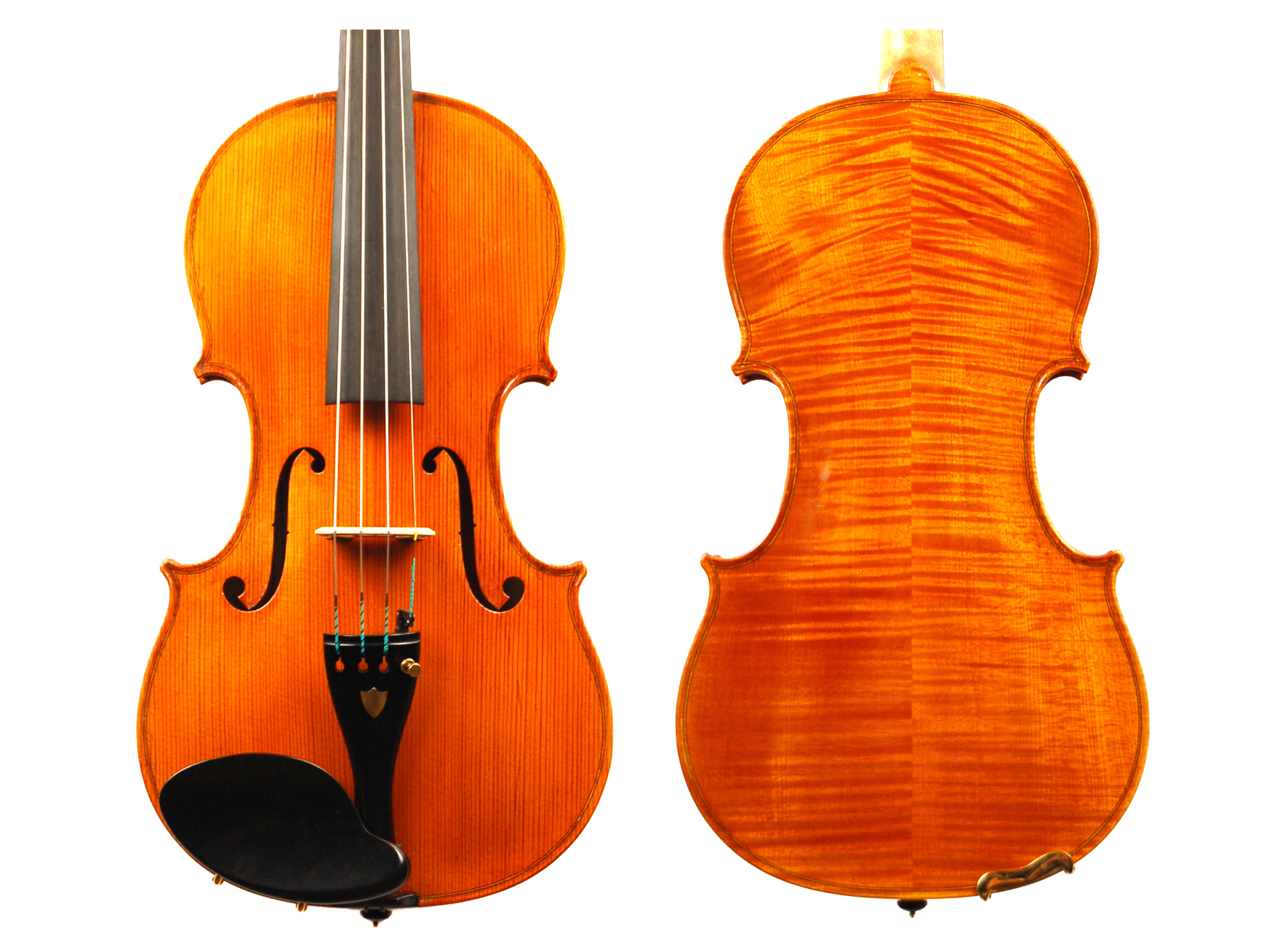 KG Violin #600